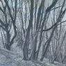 Cover Image for outskirts Original Mix