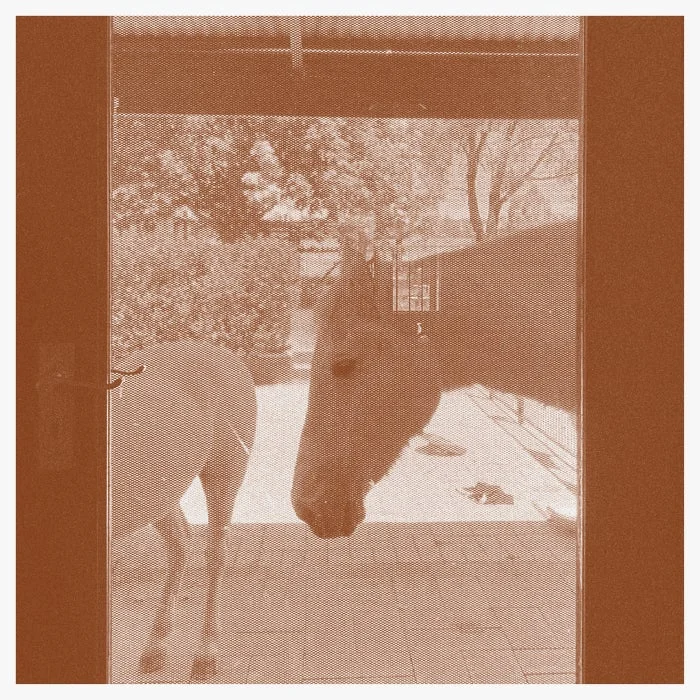 J.WLSN, Liam Keenan - CountryThe Country cover art