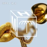 Jackie (IT), AVIV SAB - Sexy M.F. (Extended Mix) cover art