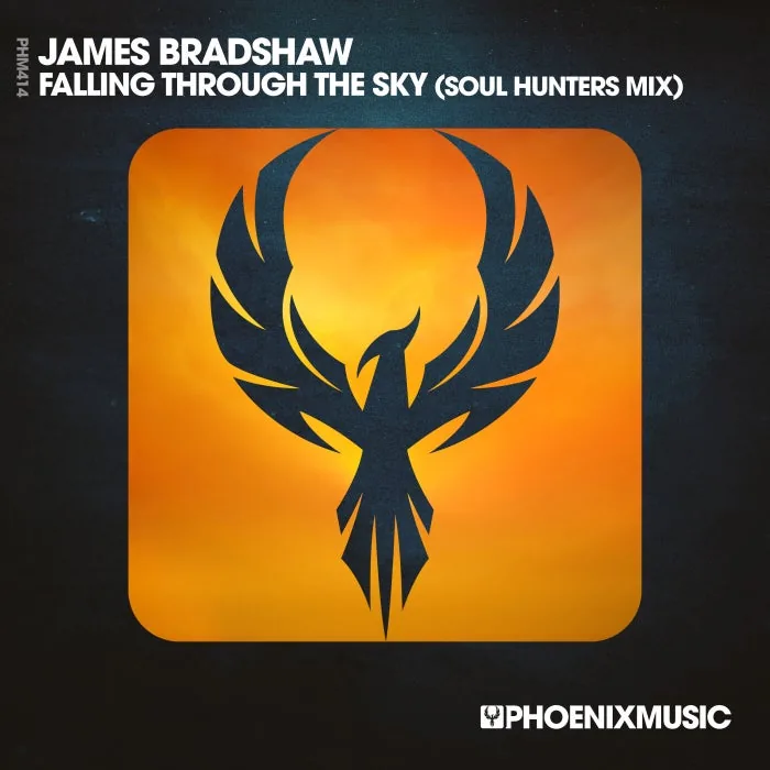 James Bradshaw - Falling Through The Sky (Soul Hunters Mix) cover art
