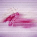 John Tejada, Sainte Béatrix - Moss and Pink cover art