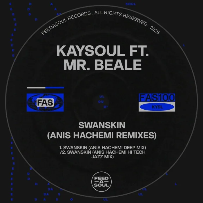 Kaysoul, Anis Hachemi, Mr. Beale - Swanskin (Anis Hachemi Remixes) cover art