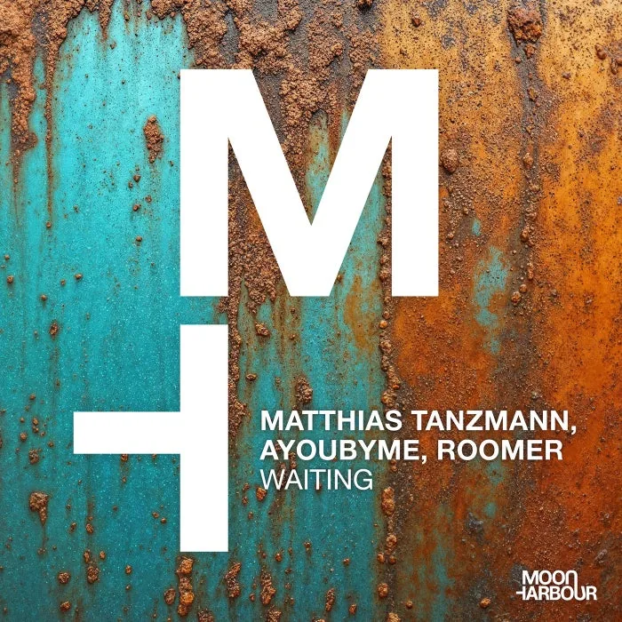 Matthias Tanzmann, AYOUBYME, Roomer – Waiting on Moon Harbour Recordings cover art