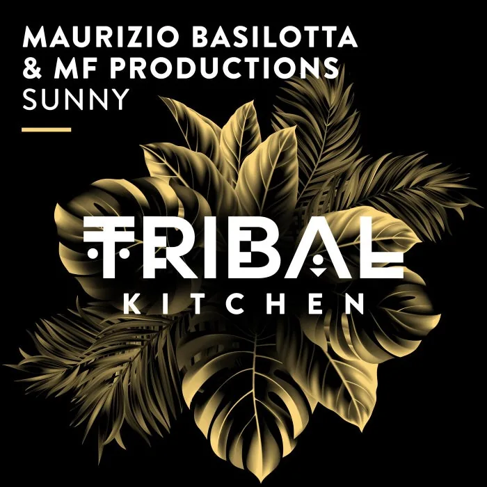 Maurizio Basilotta, MF Productions - Sunny cover art