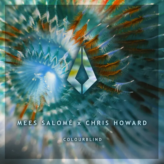 Mees Salomé, Chris Howard - Colourblind cover art