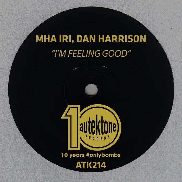 Mha Iri, Dan Harrison - I'm Feeling Good cover art