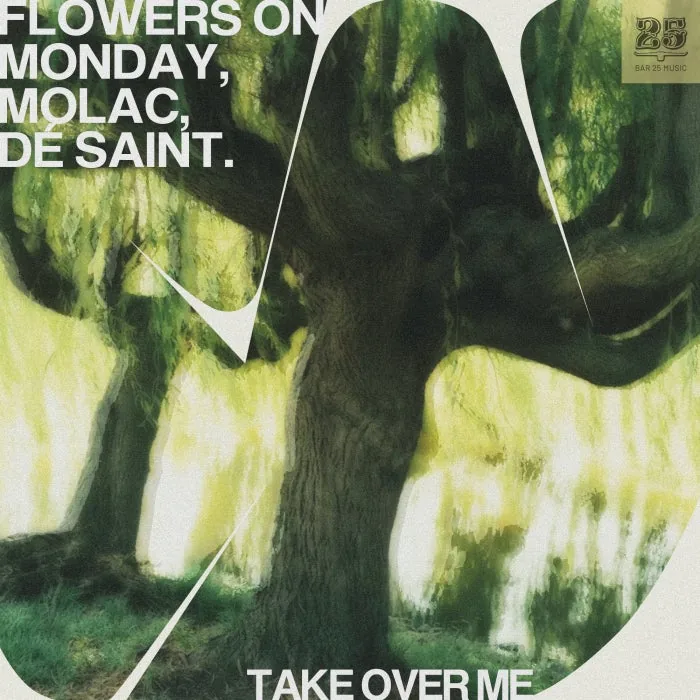 Molac, Flowers on Monday, DÉ SAINT. - Take Over Me cover art