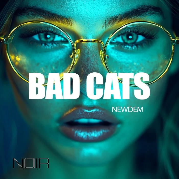 NEWDEM - Bad Cats cover art
