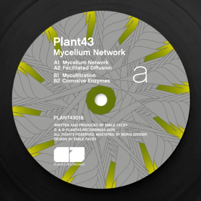 Plant43 - Mycelium Network cover art