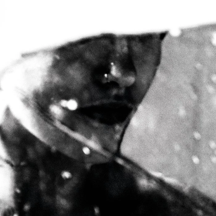 Purgate – Leavings on Aesthetical cover art