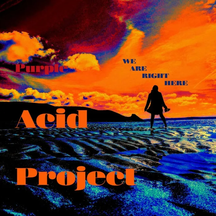 Purple Acid Project - We Are Right Here cover art