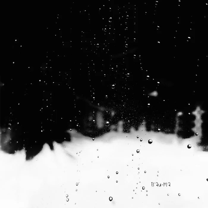 Ramrä – Wabi Sabi on trau-ma cover art