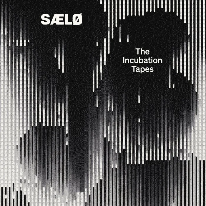 Saelo - The Incubation Tapes cover art