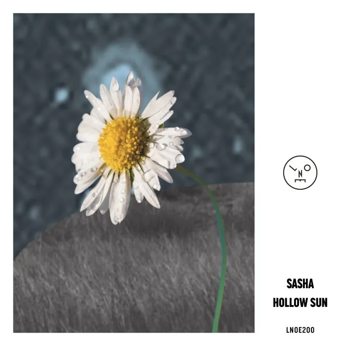Sasha - Hollow Sun cover art