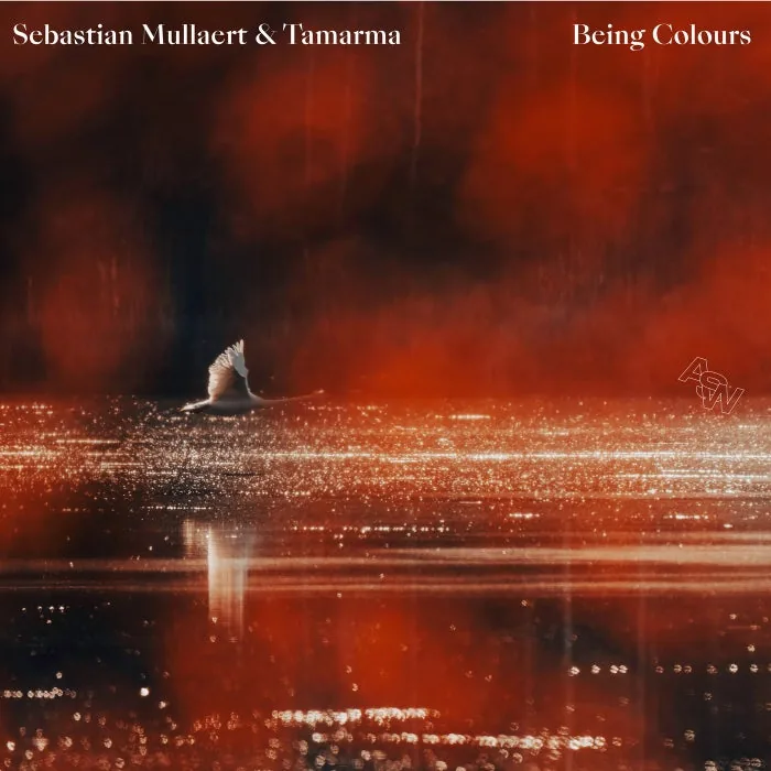 Sebastian Mullaert, Tamarma – Being Colours on Awesome Soundwave