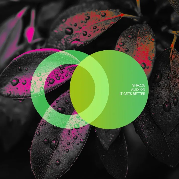 SHAZZE, Alexion - It Gets Better cover art