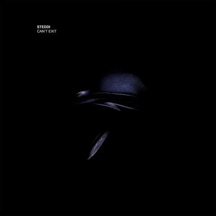 Steddi - Can't Exit cover art