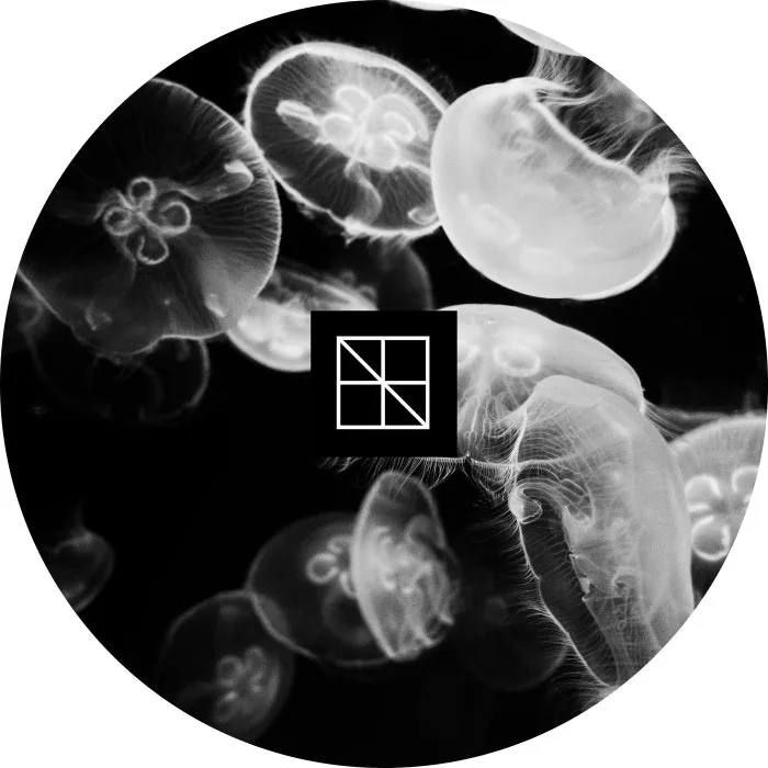 Stijn Vanmarsenille – Underneath The Sea Lies An Ocean Part 2 on Abstraction cover art
