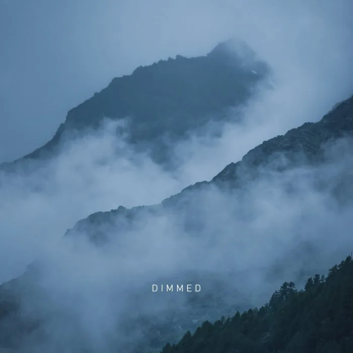 SVLBRD - Dimmed cover art