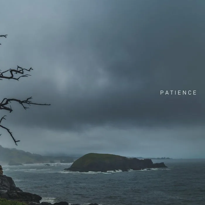 SVLBRD - Patience cover art