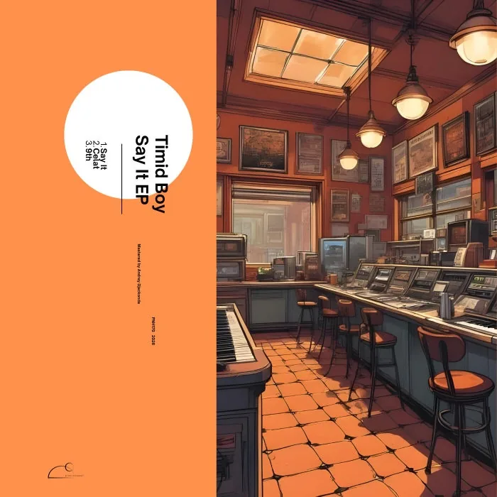 Timid Boy - Say It EP cover art