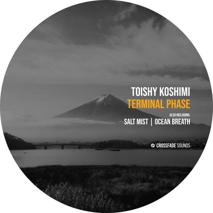 Toishy Koshimi - Terminal Phase cover art