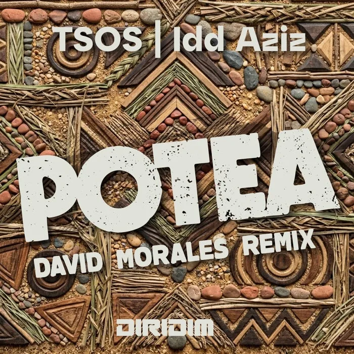 TSOS, Idd Aziz - POTEA cover art