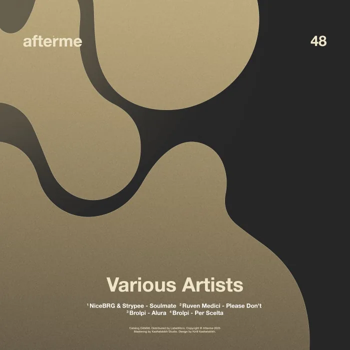 VA – [DAM48] on Afterme cover art
