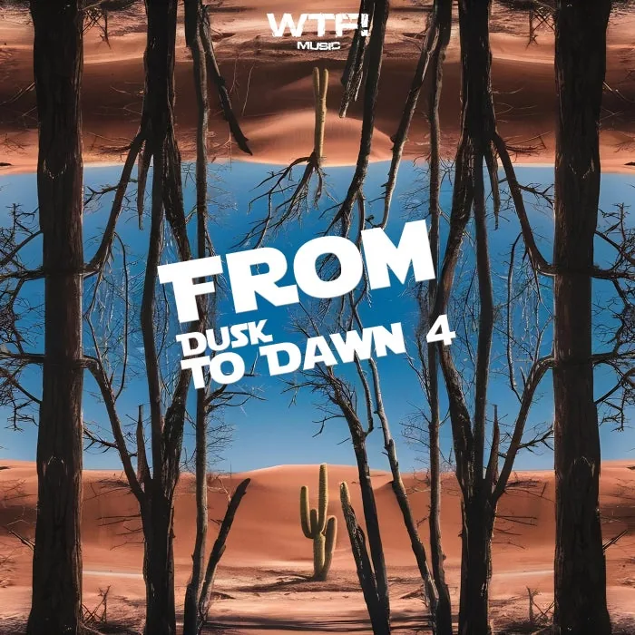VA - From Dusk To Dawn 4 cover art