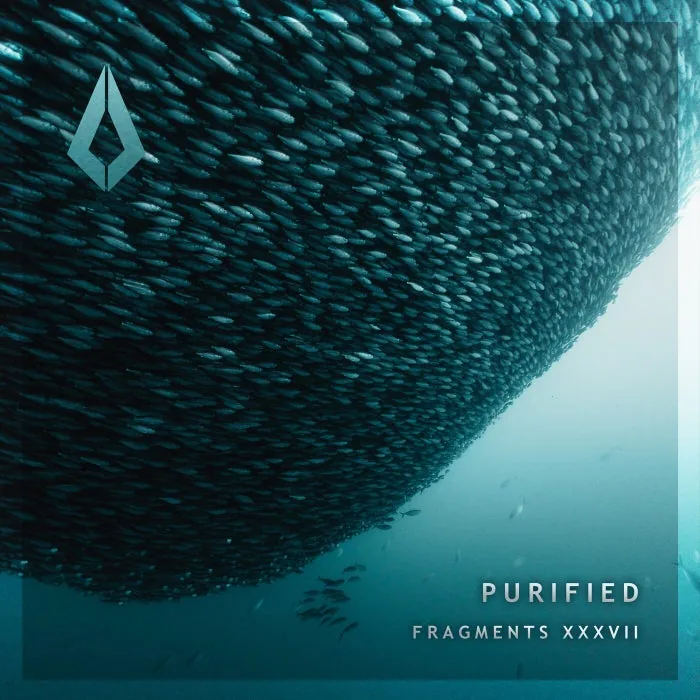 VA - Purified Fragments XXXVII cover art