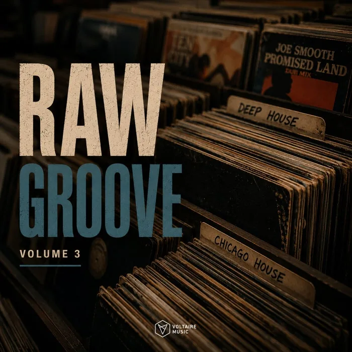 VA - Raw Groove Vol. 3 cover art