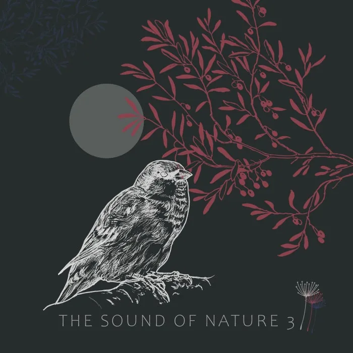 VA - The Sound of Nature 3 cover art