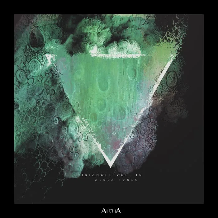 VA - Triangle, Vol. 15 cover art