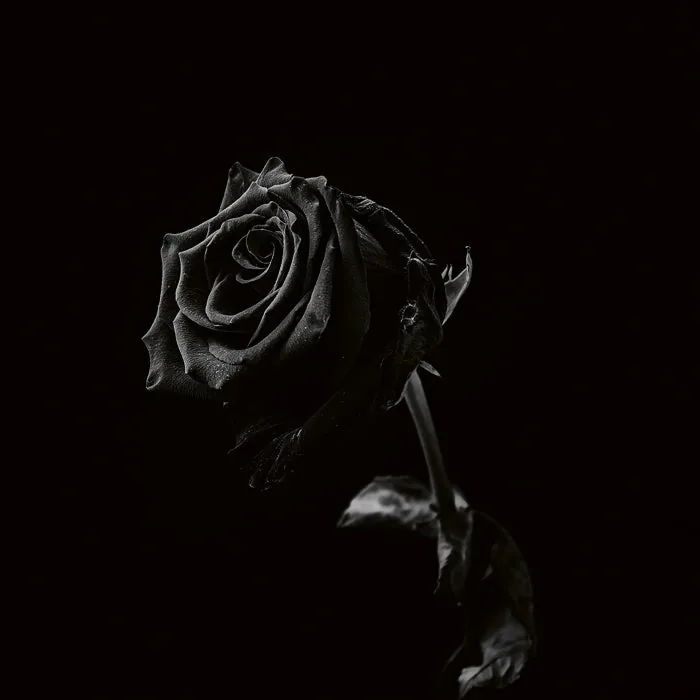 Viclan – Healing Wounds on Mord cover art