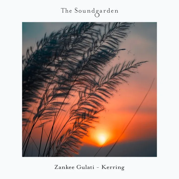 Zankee Gulati - Kerring cover art