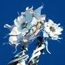 Cover Image for Isn't Over Yet Original Mix