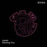 Cover Image for Wanting You Original Mix