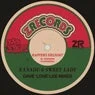 Cover Image for Rappers Delight Dave 'Love' Lee Sureshot Mix