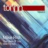 Cover Image for The Likes of You Original Mix