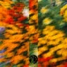 Cover Image for Jazzology Original Mix