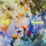 Cover Image for Myosotis Original Mix