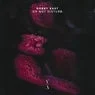 Cover Image for Do Not Disturb Extended Mix