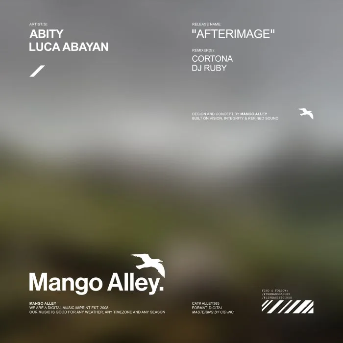 Abity, Luca Abayan - Afterimage cover art