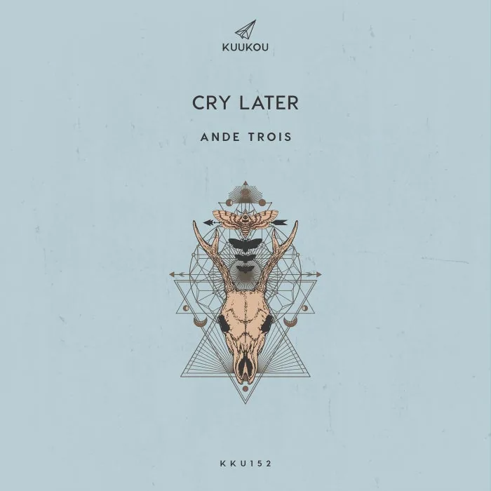 AnDe Trois - Cry Later cover art