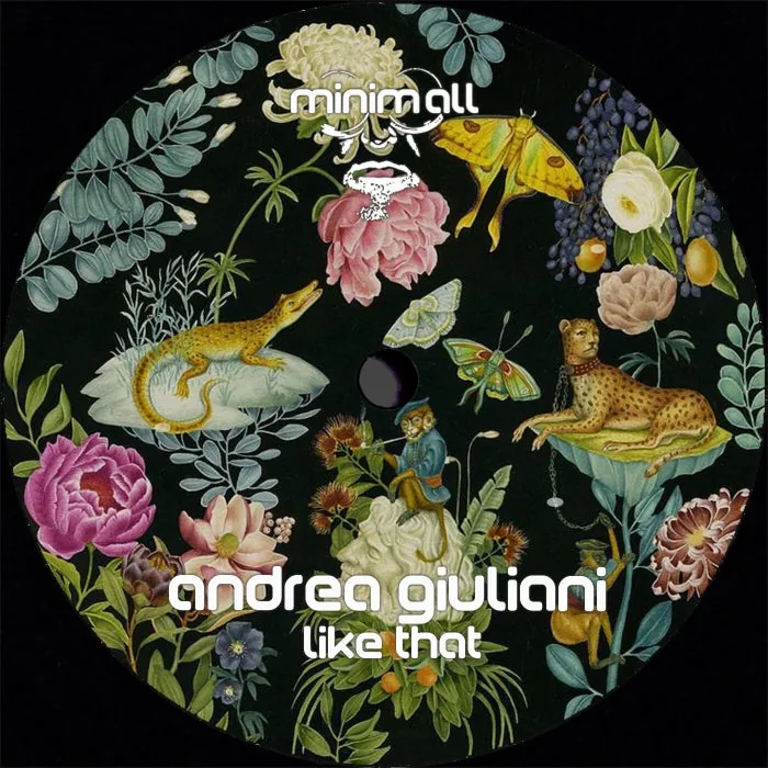 Andrea Giuliani – Like That on minim.all