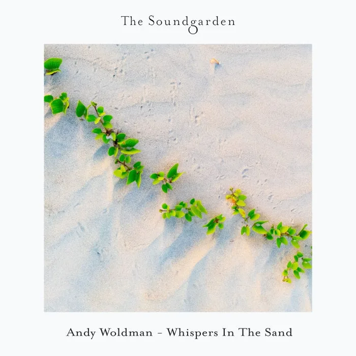 Andy Woldman - Whispers In The Sand cover art