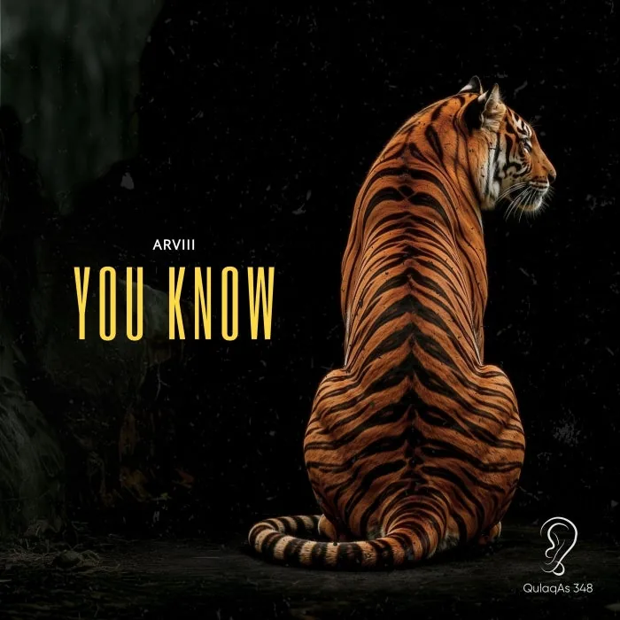 ARVIII - You Know cover art