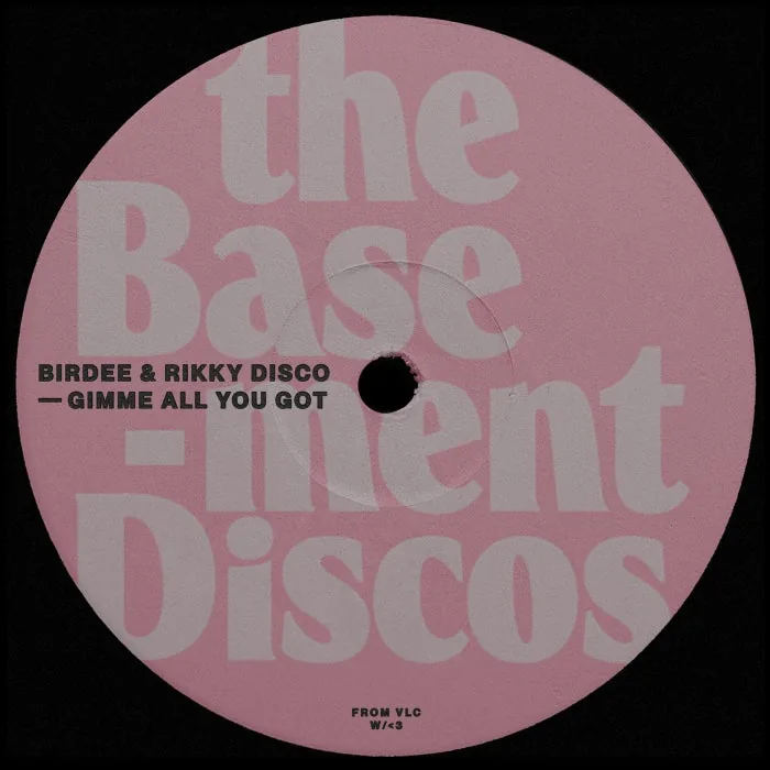 Birdee, Rikky Disco - Gimme All You Got cover art