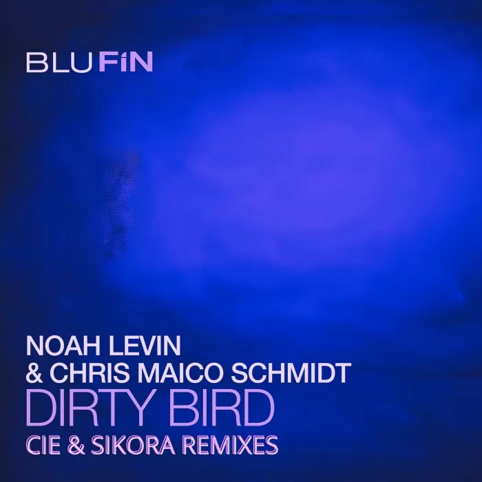 Chris Maico Schmidt, Noah Levin – Dirty Bird (The Remixes) on BluFin