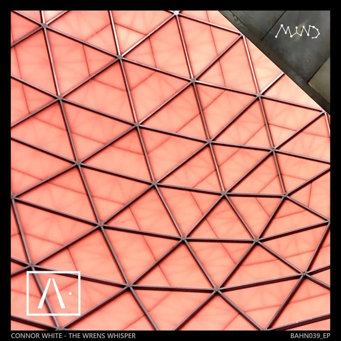 Connor White – The Wrens Whisper on BAHN· Records cover art